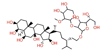 Crossasteroside P2